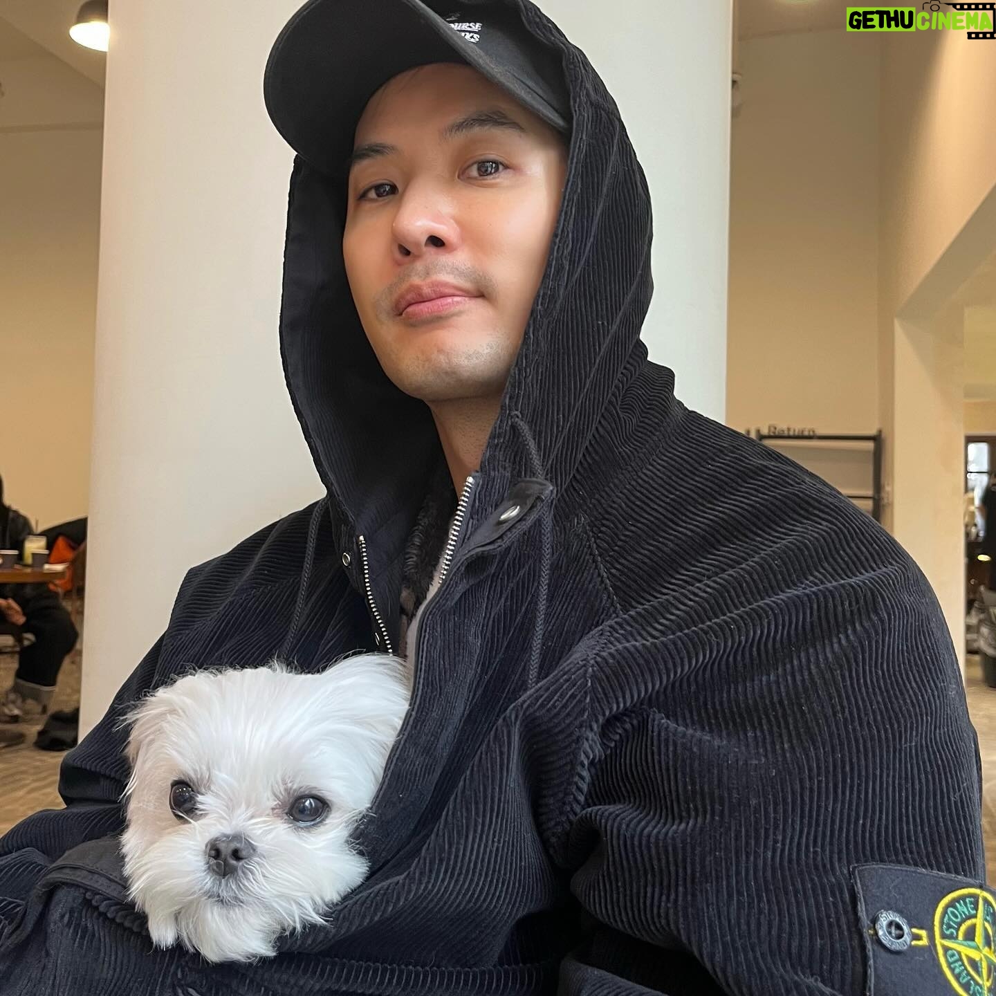 Kim Ji-seok - 19.8K Likes - 개따뜻…개졸림…💛