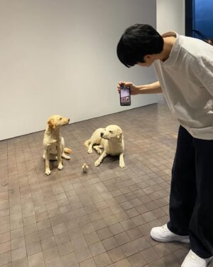 Kim Ki-hae Instagram - MAURIZIO CATTELAN