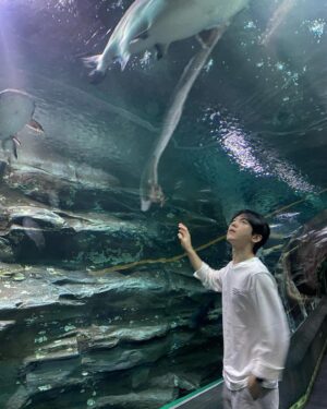 Kim Ki-hae Instagram - 🐠🐟🐬🐳🐋🦭🐧