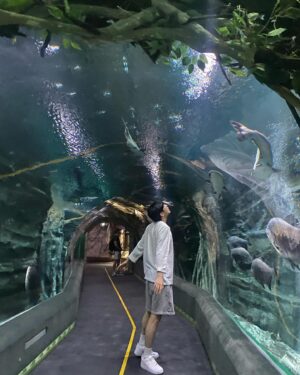 Kim Ki-hae Instagram - 🐠🐟🐬🐳🐋🦭🐧