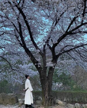Kim Min-ki Instagram - 벚꽃 나들이
#태종이방원 #충녕대군