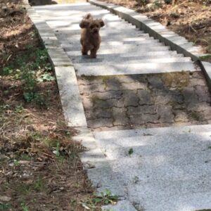 Kim Min-ki Instagram - 이름은 루이비똥
그리하야 김루이
