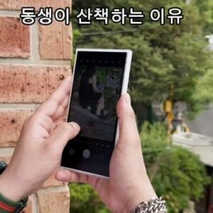 Kim Ryang -ha Instagram - 【 #량하효과 】 
#산책 을 열심히 하는 이유가 있었군  흐흐..

#찐친동생
#오보이스트 #오보이스트인플루언서
