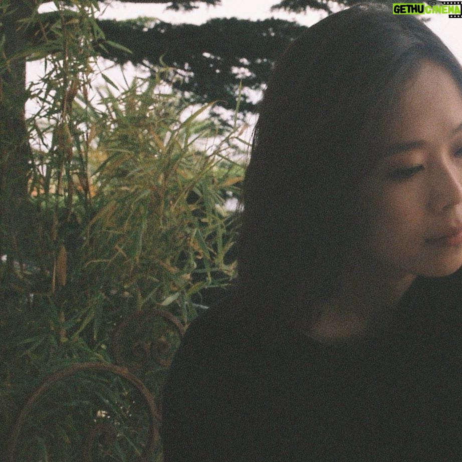 Kim Sae-byuk - 627 Likes - 🌲