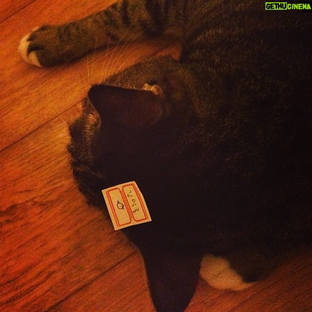 Kim Sae-byuk - 231 Likes - 김말콤🐈