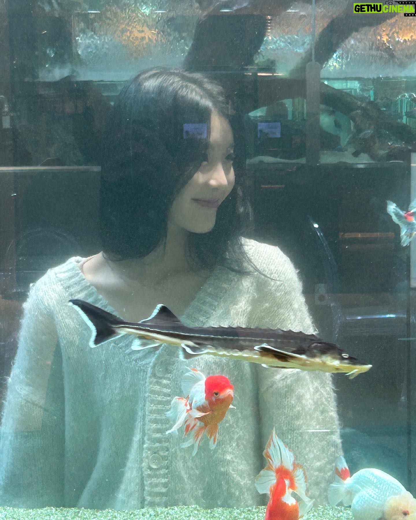 Kim Seo An - 2.3K Likes - 🫧🐠🫧🐠