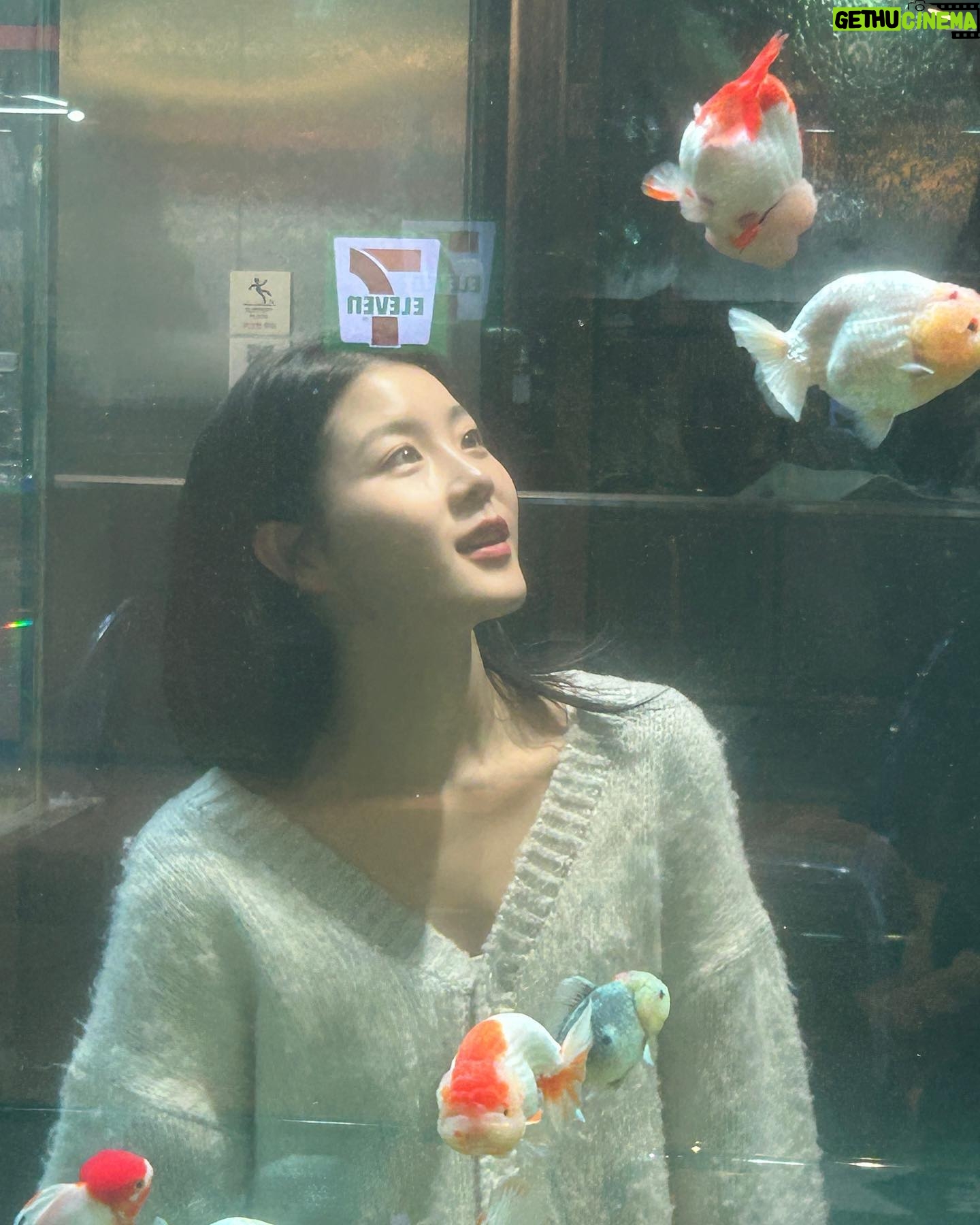 Kim Seo An - 2.3K Likes - 🫧🐠🫧🐠