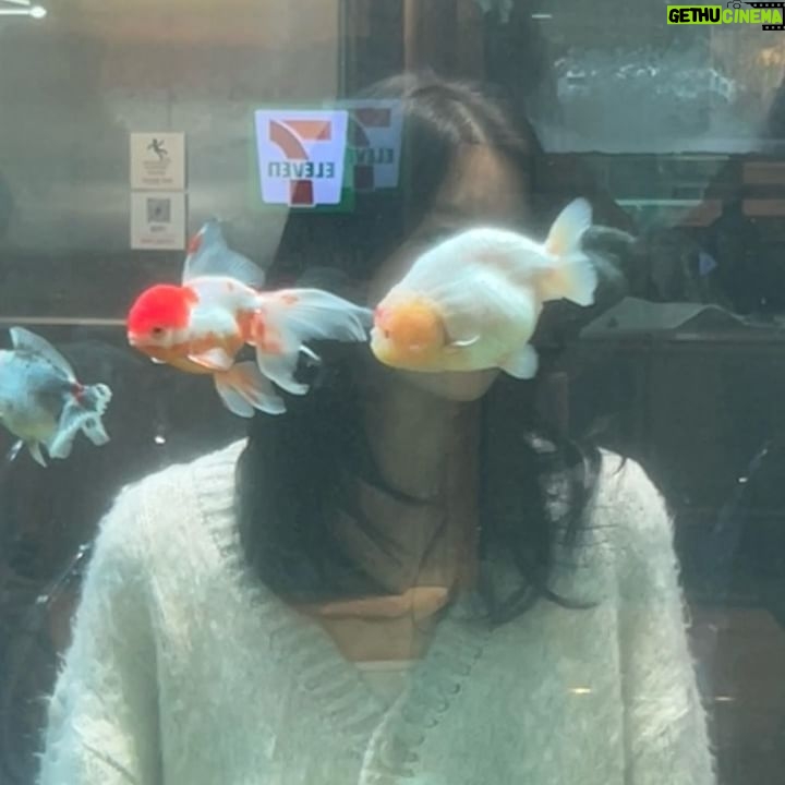 Kim Seo An - 2.3K Likes - 🫧🐠🫧🐠