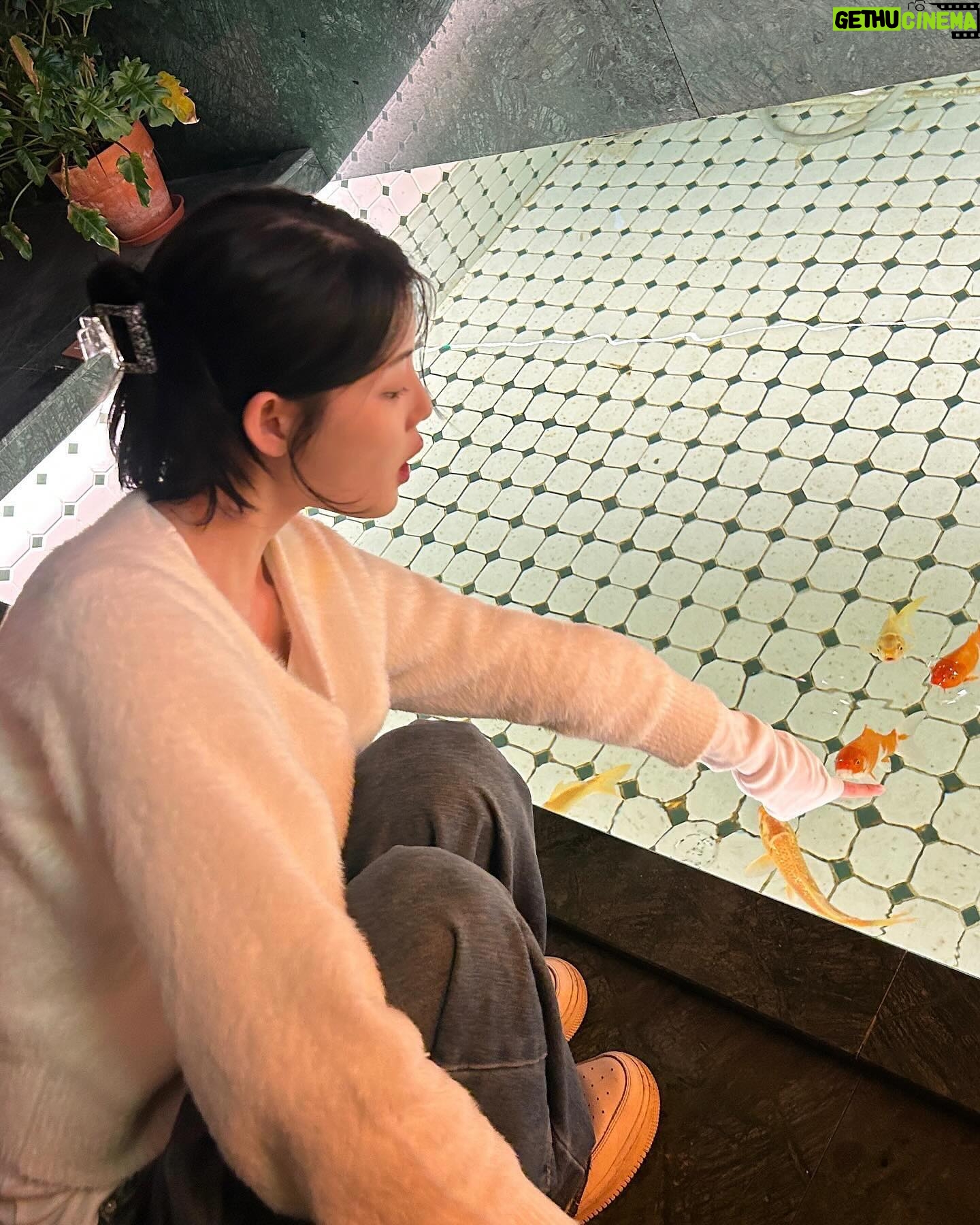 Kim Seo An - 1.4K Likes - 밀린 겨울 정리하기
