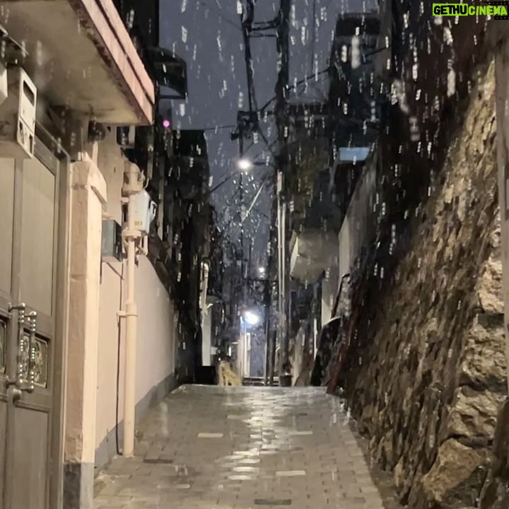 Kim Seo An - 1.4K Likes - 밀린 겨울 정리하기