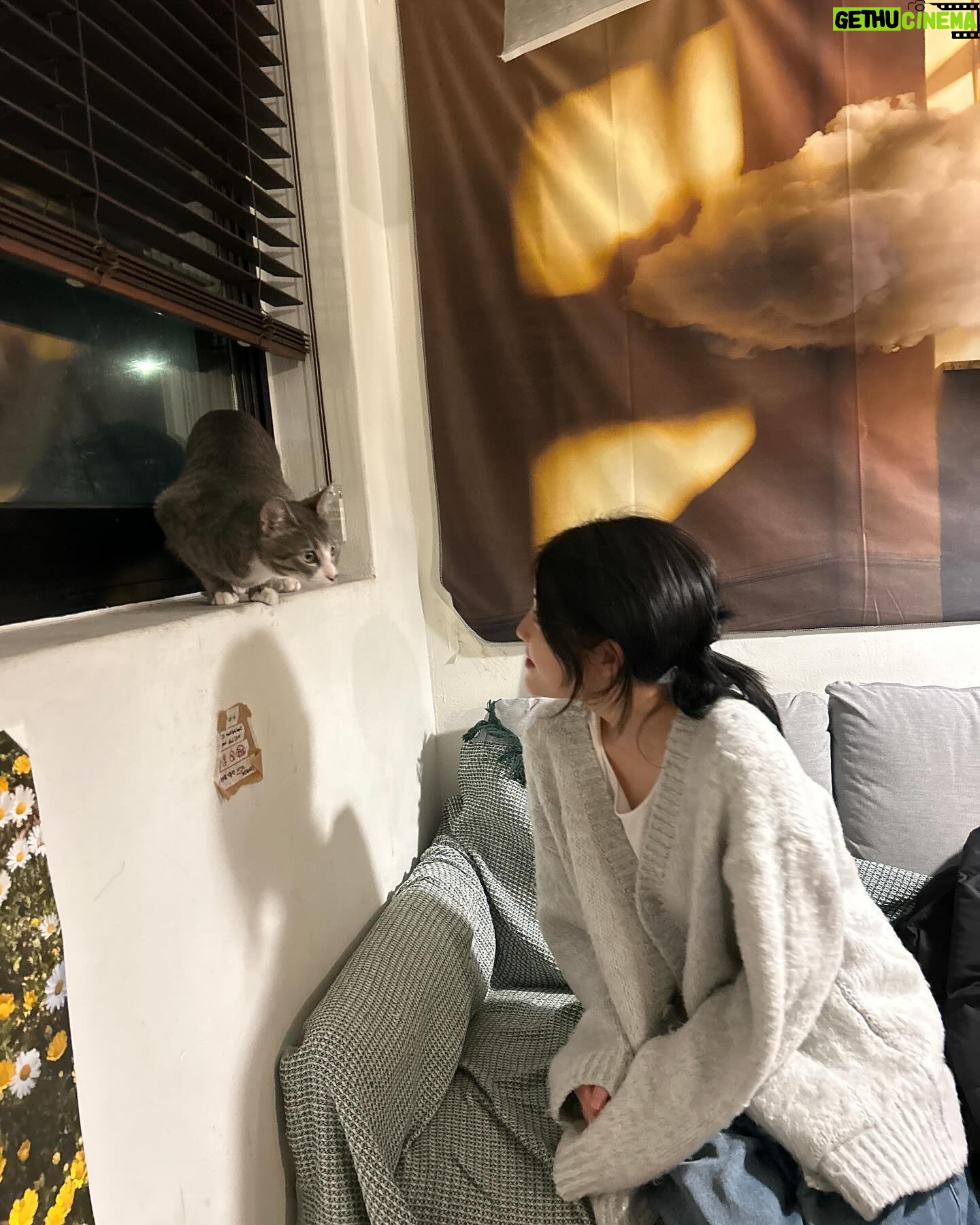 Kim Seo An - 1.8K Likes - 1월
