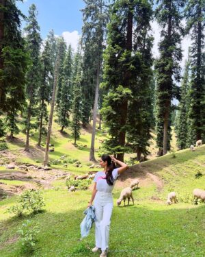 Kim Sharma Instagram - 🧺🐑 ⛰️ 👩🏻👩🏼👵🏼👴🏼