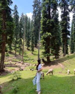 Kim Sharma Instagram - 🧺🐑 ⛰️ 👩🏻👩🏼👵🏼👴🏼