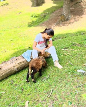 Kim Sharma Instagram - 🧺🐑 ⛰️ 👩🏻👩🏼👵🏼👴🏼