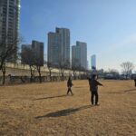 Kim Soo-ro