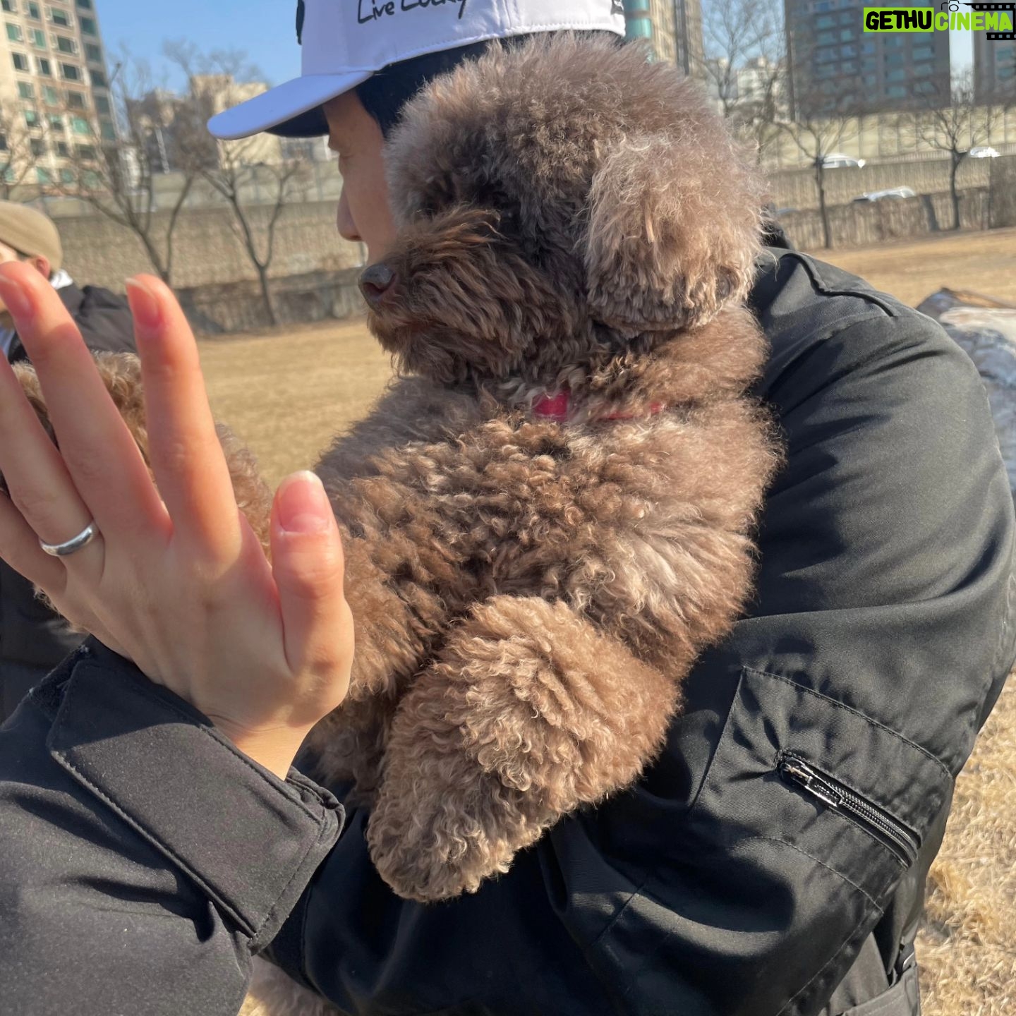 Kim Soo-ro - 1.3K Likes - 몇일전 .....
조조와 산책.
몇일전.......
10기들과 발레수업 후 수건돌리기.
오늘..........
스모크 총막공.
큰사랑 감사드립니다.
늘 범사에 감사........