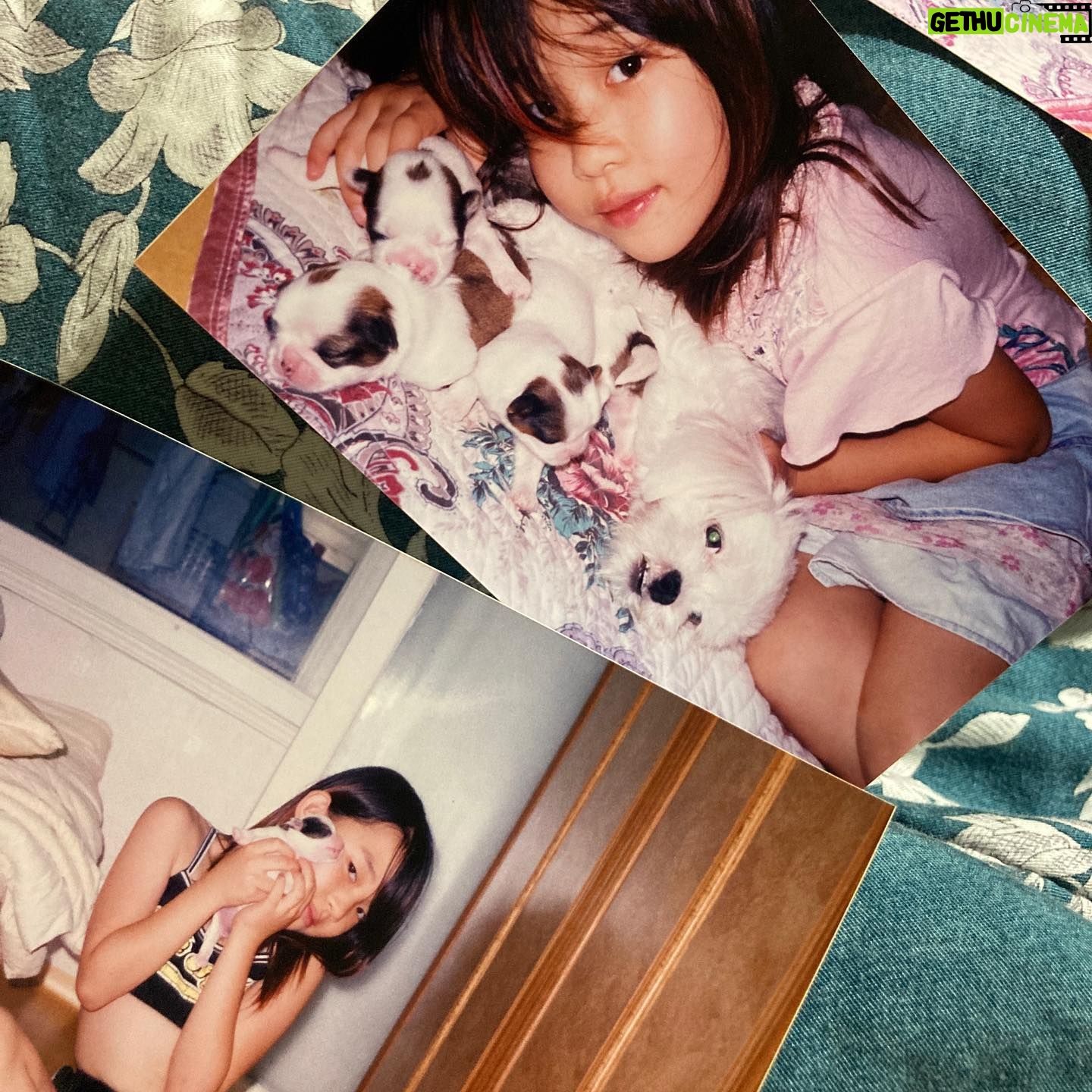 Kim Sun-a - 4.7K Likes - 썬꼬마시절✌🏻