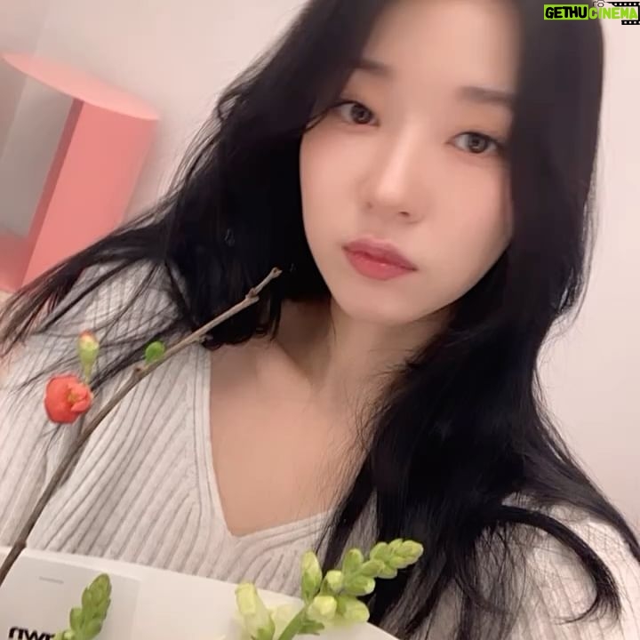 Kim Sun-a - 2.1K Likes - 🪷아이 좋아🪷