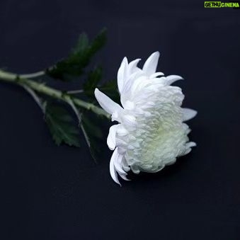Kim Sun-young - 851 Likes - R.I.P
그곳에선 힘들지 않길...
먼훗날 하늘에서 다시 만나
너무 보고싶을거야...