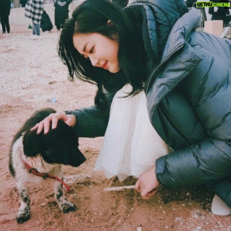 Kim Ye-ji - 1.1K Likes - 📷촬영 때 만난 귀염둥이🐶♥️
#광고촬영 #캐논광고 #캐논 #canon #캐논카메라