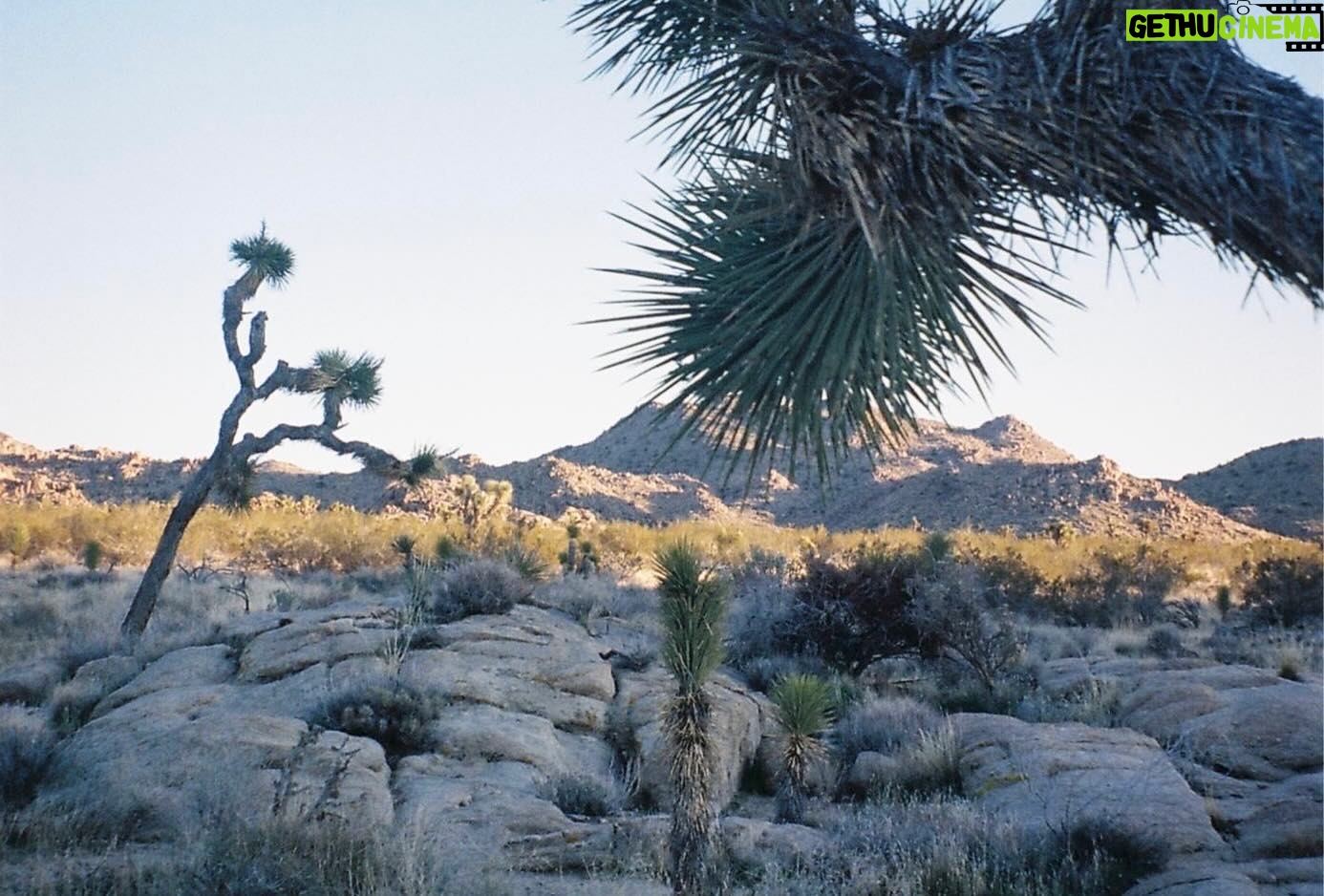Kimie Tsukakoshi - 3 Likes - Neverending desert photos thanks to @miamilnes