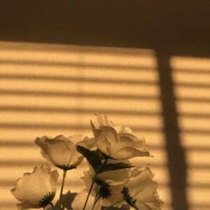Kina Beats Instagram - moody time