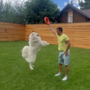Kirill Turichenko Instagram - Мой новый друг 🐕

#самоед