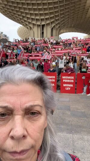Kiti Mánver Instagram - #MismosPerrosMismaLey Plaza de la Encarnación Sevilla