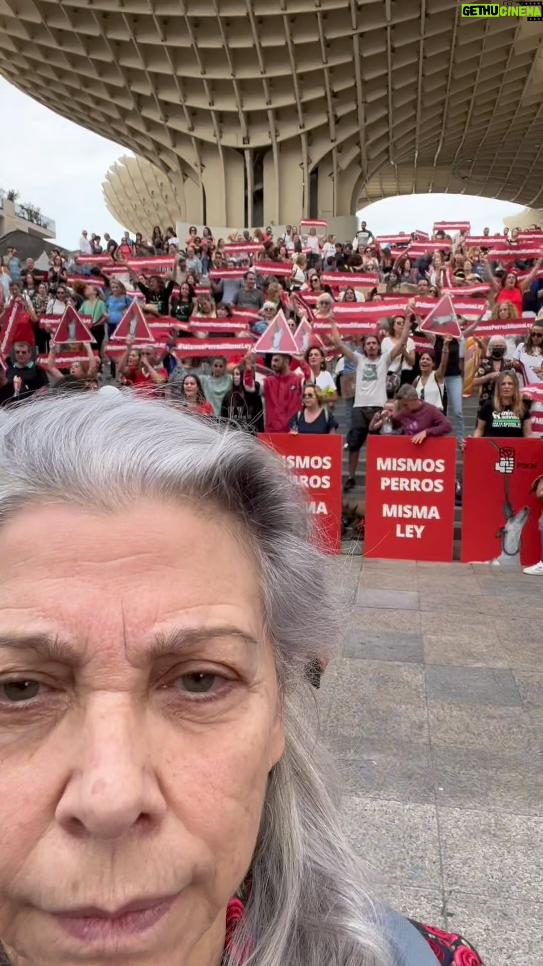 Kiti Mánver - 650 Likes - #MismosPerrosMismaLey Plaza de la Encarnación Sevilla
