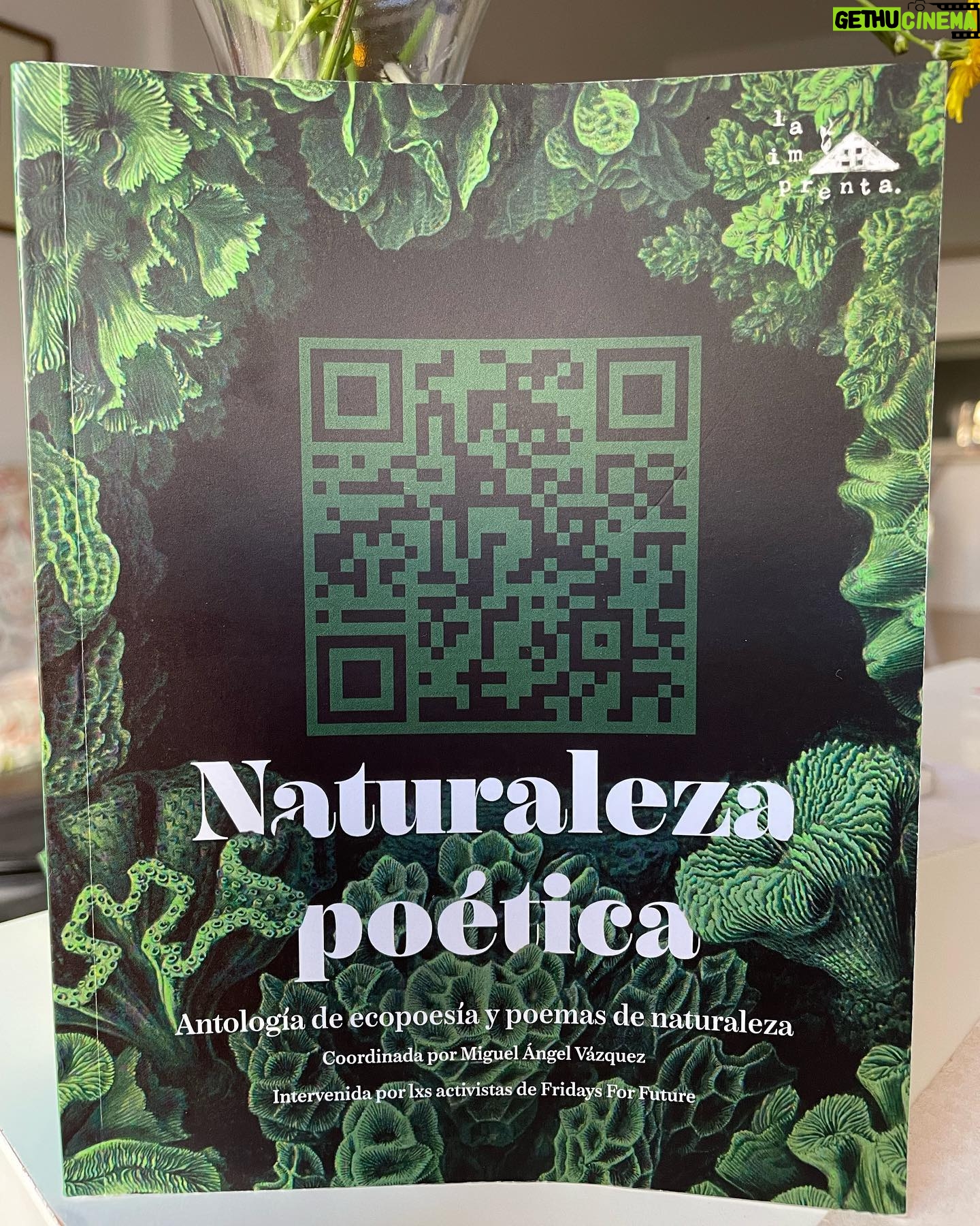 Kiti Mánver - 343 Likes - Preciosa Noche de los Libros en la librería "La Imprenta" Una maravilla ver a gente muy joven disfrutando de la Poesía. Naturaleza poética tiene la particularidad de que puedes oír a l@s poetas, en tu teléfono móvil, leyendo el Código QR del poema elegido. Una gozada, gracias