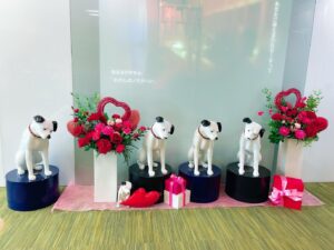 Kiyono Yasuno Instagram - 💝
ハッピーバレンタイン🐶💐