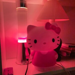 Klara Kristin Instagram - Primo summer dump 

1. Hair style inspired by legendary Linse aka Lenina Coleman 

2. An everyday evening in “La tour” Montreuil 93100

3. My new friend at the traiteur, Les Lilas. 

4. About Eudaimonia and the stoic triangle of happiness. 

5. Current obsession with Hello Kitty. Now I got a lamp 😍 

6. An old photo that I love, taken on one of the many walks I had with Michella Bredahl. 

7. About my living at Falster, Denmark 

8. Bed room of my dreams, Hotel Monica, Ærø (DK) 

9. Vibes in Saint-Tropez 

10. Simple livingl