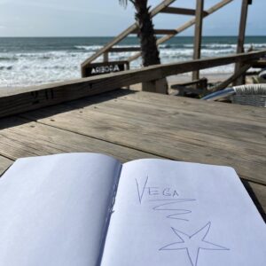 Klára Vytisková Instagram - Klara em Portugal🧚‍♀️💋
Potřebovala jsem vyčistit hlavu, navštívit svojí milovanou kamarádku Káču, pít dobrej bylinkovej čaj a fantastický červený víno i pivo:) nechat si vařit večeře a chodit do nejvíc lokál podniků na nejlepší jídlo, obejít sekáče a blešáky, kochat se architekturou, číst knížku a u toho pít kávu v posteli, jít na koncert Jungle, tančit u Káči na naše oblíbený fláky a dát si čas u oceánu na psaní textů, který o takových nekonečných dálkách, které nám dávají nadhled, jsou☺️ Samozřejmě jsem se vykoupala, všichni měli péřovky, ale holka, která žije v zemi bez moře, si tohle nenechá ujít. Oceán❤️ #lisabon