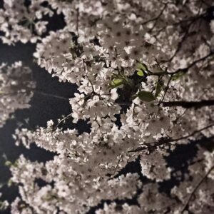 Ko Ho-jung Instagram - 