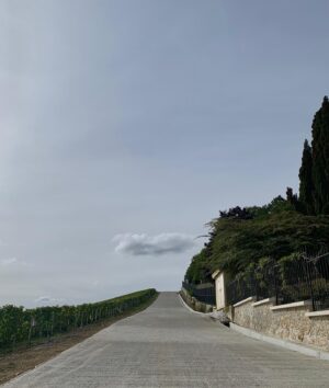 Kofi Siriboe Instagram - to the vineyards
