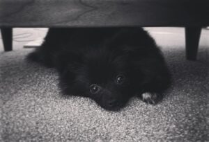 Koji Seto Instagram - おはようございます！
なんかTwitterで呟けないので、こちらで。
今日も素敵な1日を。