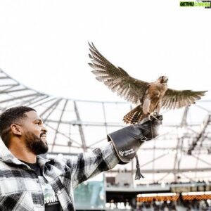 Kola Bokinni Instagram - The falconeer! Thank you🦅@lafc