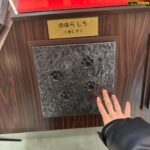 Kondo Yohdi
