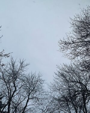 Korine Côté Instagram - Novembre ☁️