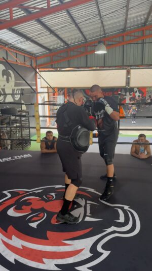 Kostya Tszyu Instagram - Another work on a peds with my son @timtszyu . Еще одна работа на лапах в @tigermuaythai