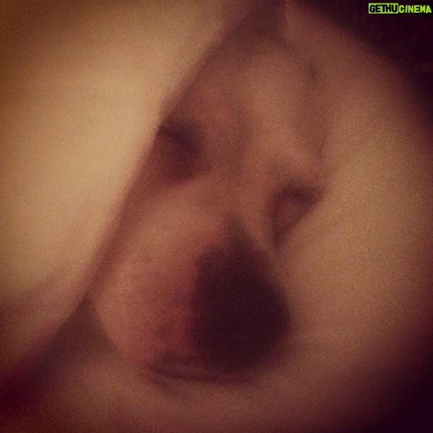 Kristen Johnston - 1K Likes - Pinky snuggling.