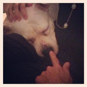 Kristen Johnston Instagram - My friend was enamored with Pinky's nose. (Whatever floats yer boat)