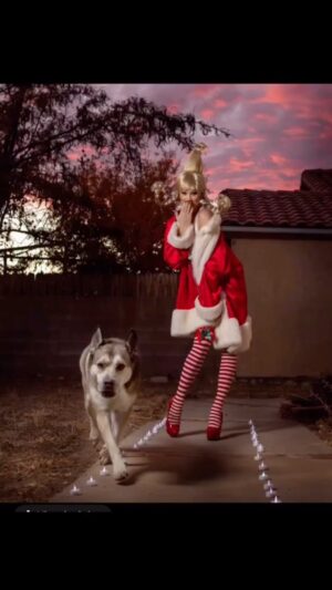 Kristen Renton Instagram - I hope everyone has an amazing holiday!! #MerryChristmas #HappyHolidays #CheersToANewYear 📸 @stacieclicks