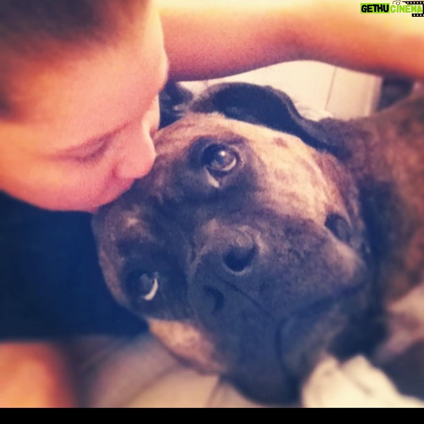 Kristen Renton - 443 Likes - It’s never gotten easier… it’s just gotten longer since you’ve been by my side. Not a day goes by I don’t miss you. Love you Roxy momma ❤️💔🐾 #TillWeMeetAgain #MissYouLikeCrazy #MyFirstTrueLove #PetsAreChildrenToo #MyBestFriend