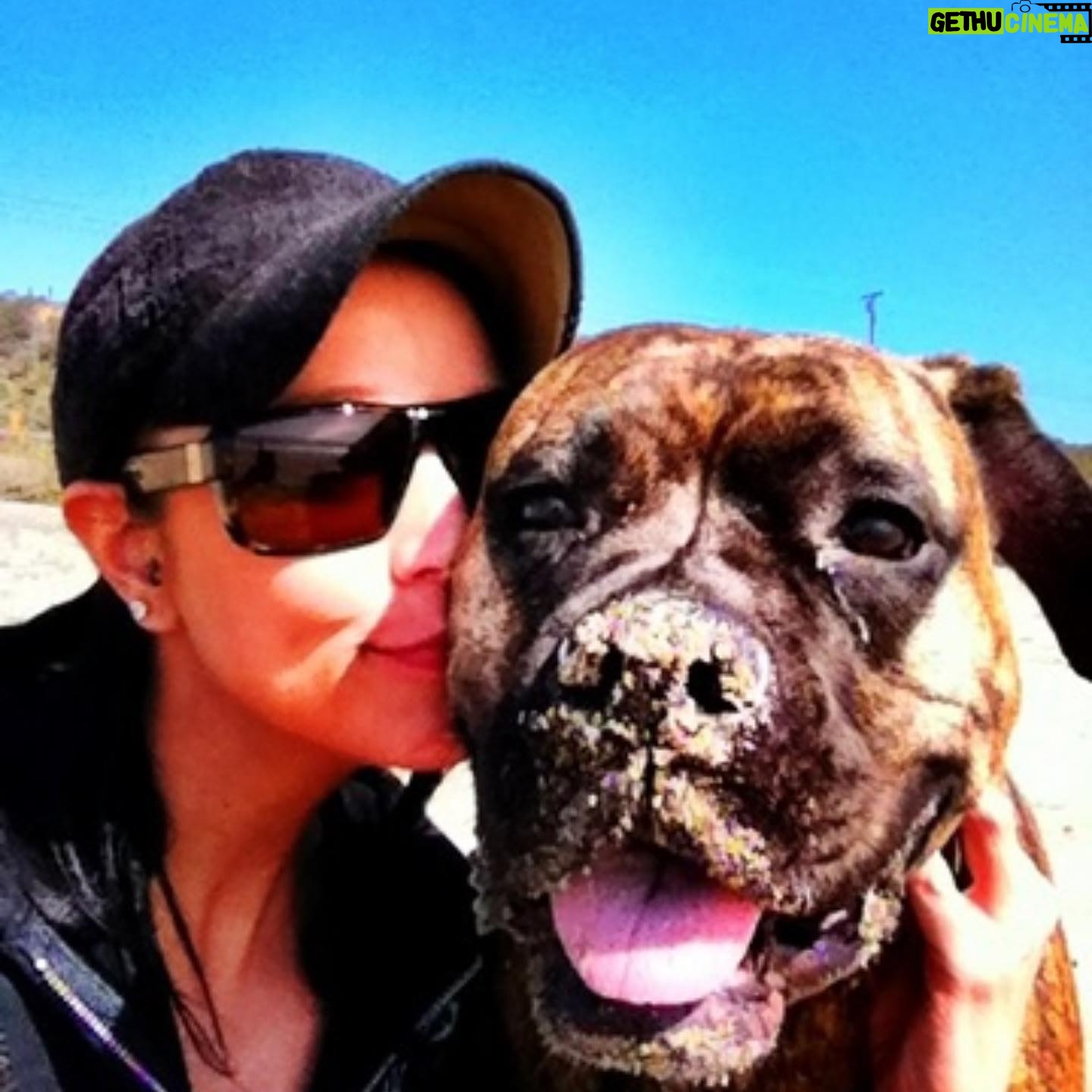 Kristen Renton - 443 Likes - It’s never gotten easier… it’s just gotten longer since you’ve been by my side. Not a day goes by I don’t miss you. Love you Roxy momma ❤️💔🐾 #TillWeMeetAgain #MissYouLikeCrazy #MyFirstTrueLove #PetsAreChildrenToo #MyBestFriend