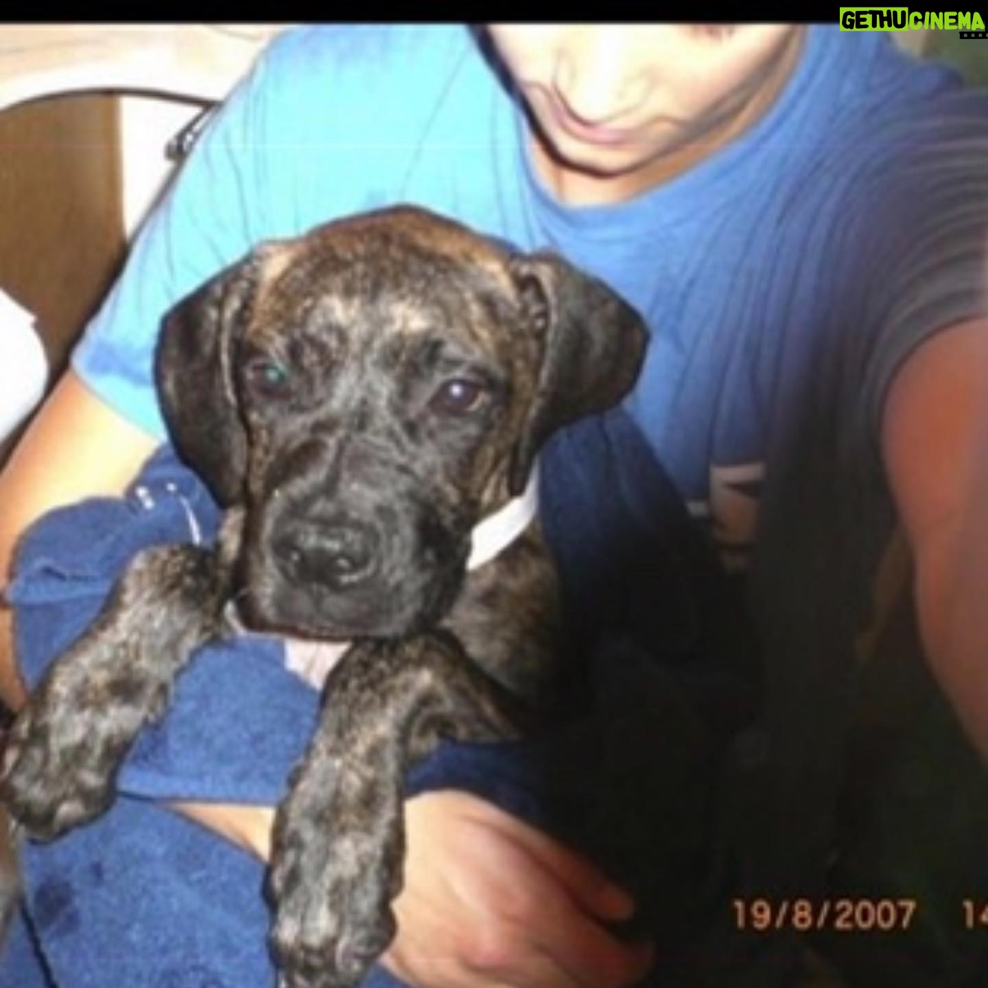 Kristen Renton - 443 Likes - It’s never gotten easier… it’s just gotten longer since you’ve been by my side. Not a day goes by I don’t miss you. Love you Roxy momma ❤️💔🐾 #TillWeMeetAgain #MissYouLikeCrazy #MyFirstTrueLove #PetsAreChildrenToo #MyBestFriend