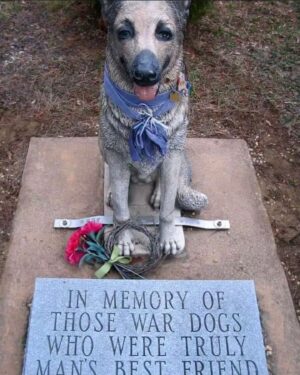 Kristen Renton Instagram - “Some gave all, all gave some.” 

“Valor is stability, not of legs and arms, but of courage and the soul.”

THANK YOU to those brave men, women and 4-legged souls  that have fought for our country and protected our freedom. Our debt to you can never be repaid. #MemorialDay #SupportOurTroops #ProudVeteranDaughter #USA