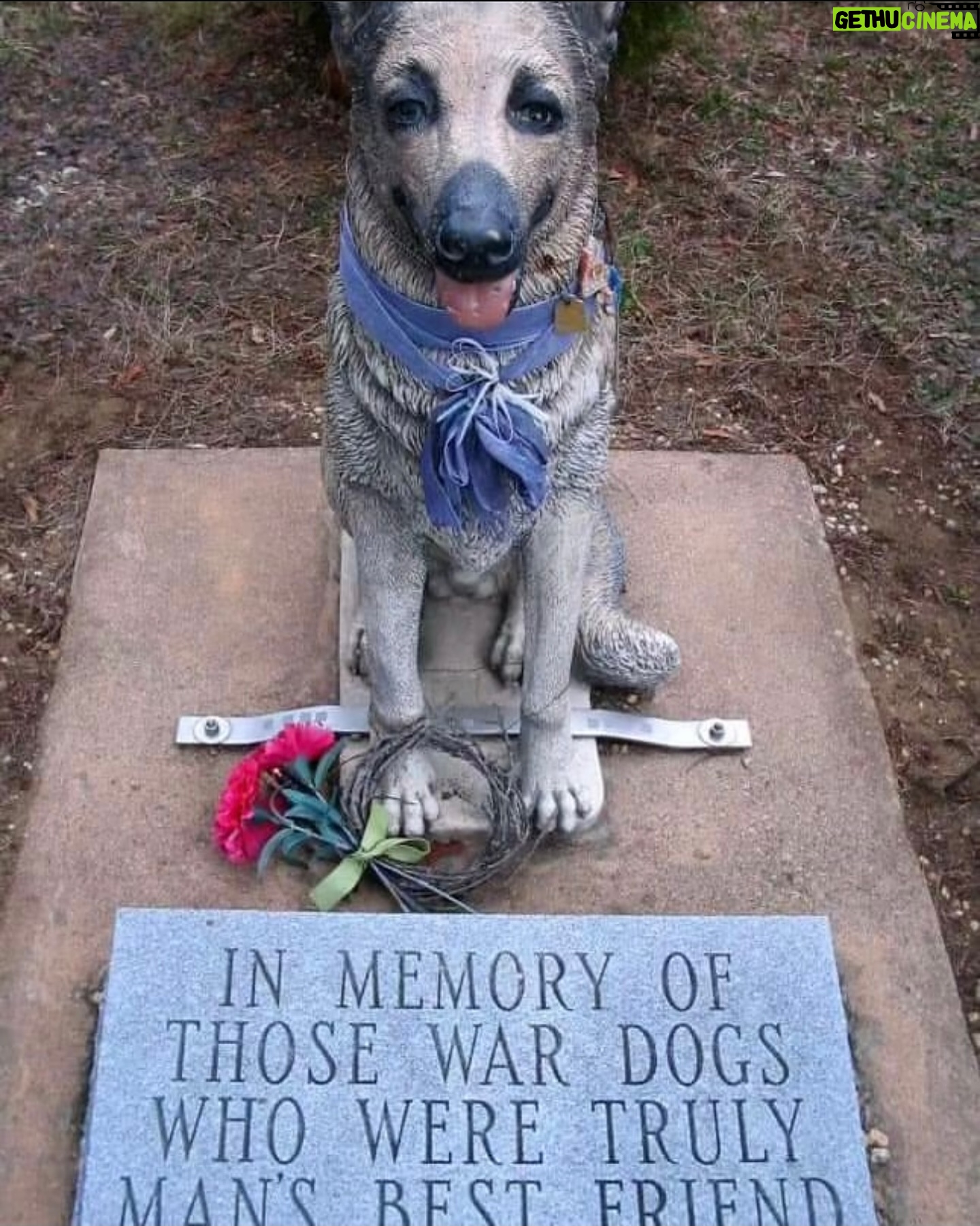 Kristen Renton - 178 Likes - “Some gave all, all gave some.”
“Valor is stability, not of legs and arms, but of courage and the soul.”
THANK YOU to those brave men, women and 4-legged souls that have fought for our country and protected our freedom. Our debt to you can never be repaid. #MemorialDay #SupportOurTroops #ProudVeteranDaughter #USA