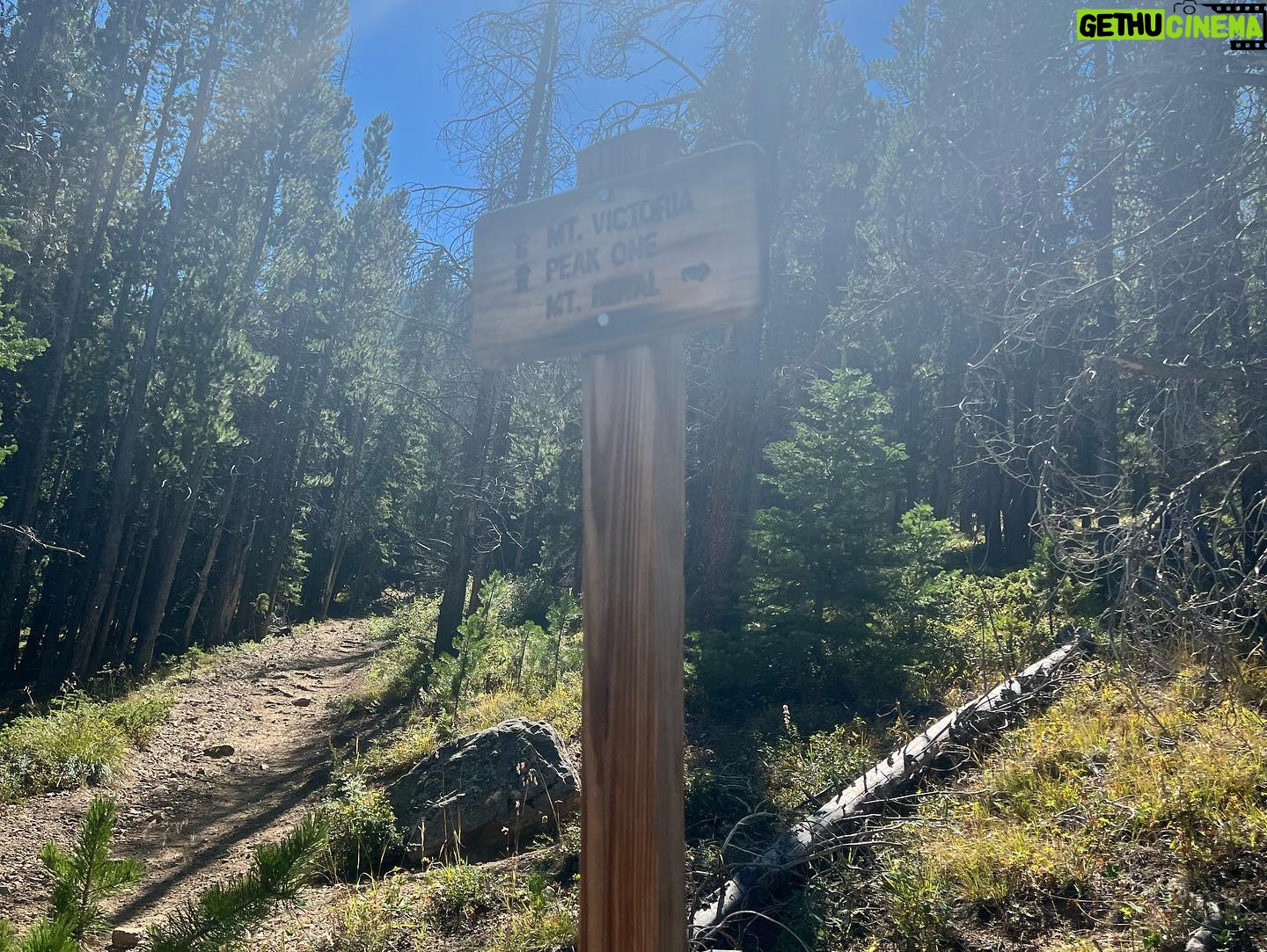 Kristen Renton - 391 Likes - Operation “countdown ‘till 40” was officially a success!! What an amazing way to spend the last bit of my 30’s… hiking in Colorado, coming face to face with a very, VERY large Moose (and not dying) and having dinner in the oldest building in Colorado. I am only lucky lady ☺️ #ColoradoHasMyHeart #HappyGirl #Birthday #Family #HappiestWhenImOutdoors #Dillion #Frisco #Breckenridge #10k #ThankGodTheMooseDidntKillMe