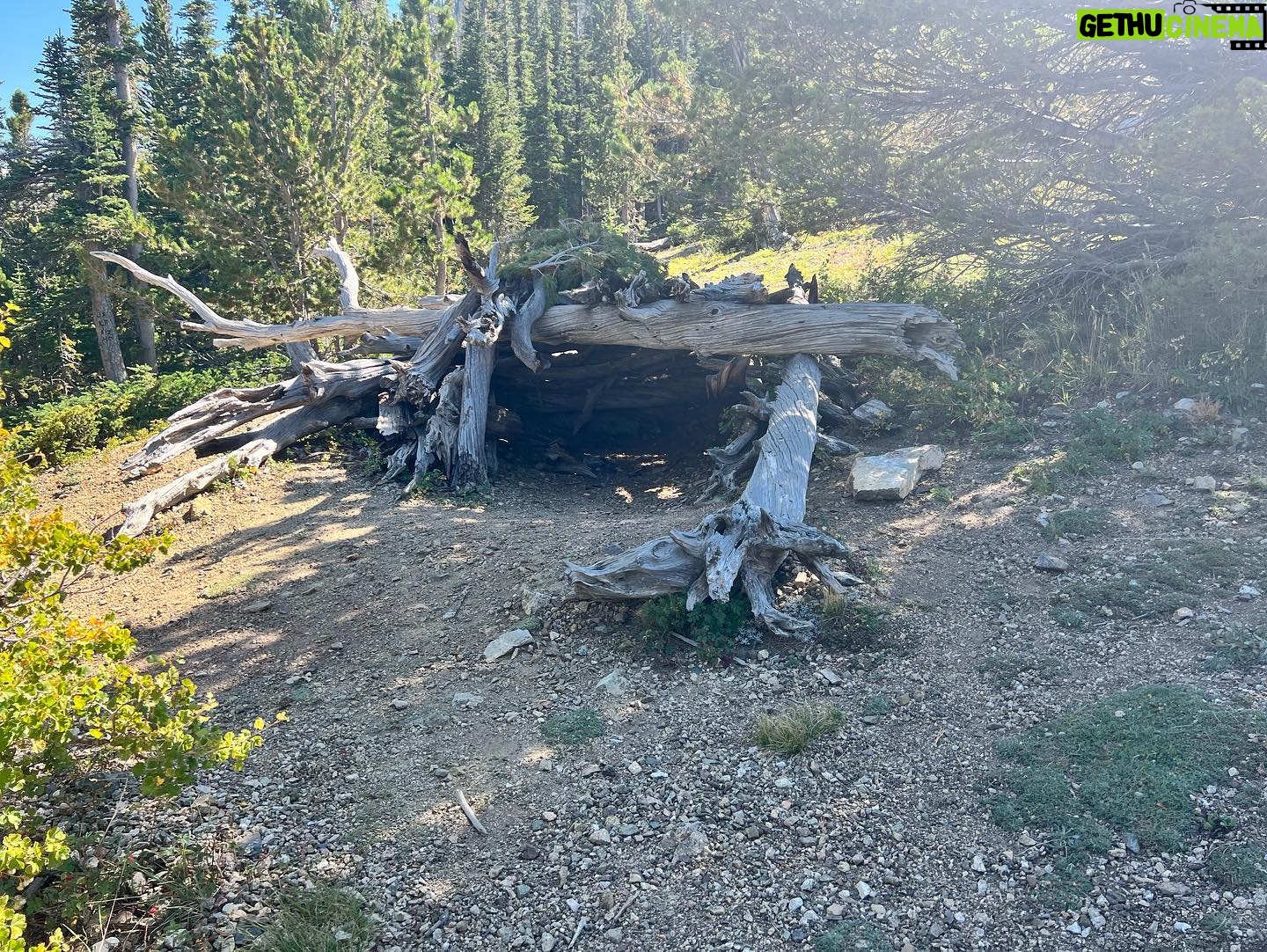 Kristen Renton - 391 Likes - Operation “countdown ‘till 40” was officially a success!! What an amazing way to spend the last bit of my 30’s… hiking in Colorado, coming face to face with a very, VERY large Moose (and not dying) and having dinner in the oldest building in Colorado. I am only lucky lady ☺️ #ColoradoHasMyHeart #HappyGirl #Birthday #Family #HappiestWhenImOutdoors #Dillion #Frisco #Breckenridge #10k #ThankGodTheMooseDidntKillMe